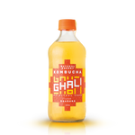 CAJA ENERGY KOMBUCHA GUARANÁ (9 unidades)