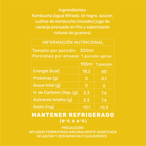 CAJA ENERGY KOMBUCHA GUARANÁ (12 unidades)