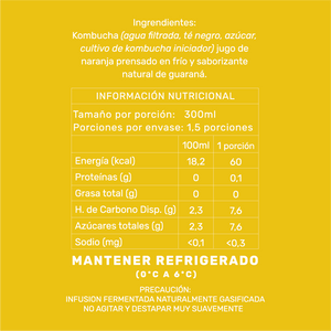 CAJA ENERGY KOMBUCHA GUARANÁ (9 unidades)